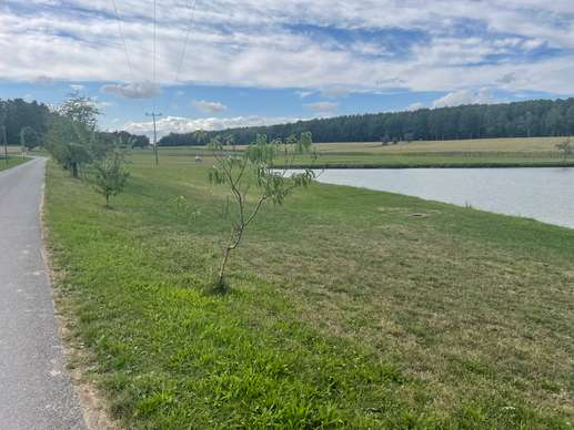 Added a photo to a location
