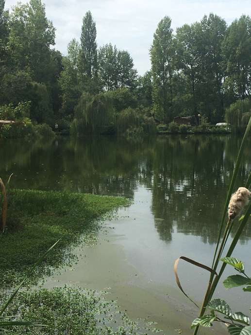 Een foto toegevoegd aan een locatie