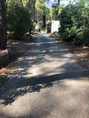 Added a photo to a location