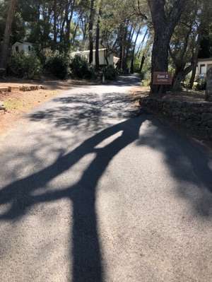 Added a photo to a location