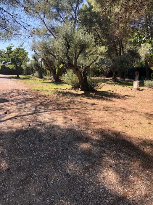Added a photo to a location