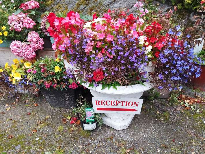 O'Sheas Caravan & Camping Park