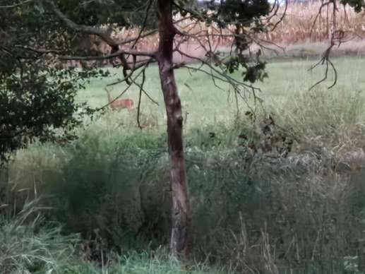 Einem Ort wurde ein Foto hinzugefügt
