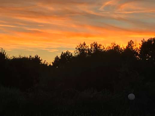 Aggiunta una foto a una posizione
