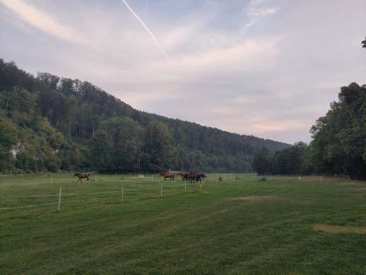 Aggiunta una foto a una posizione