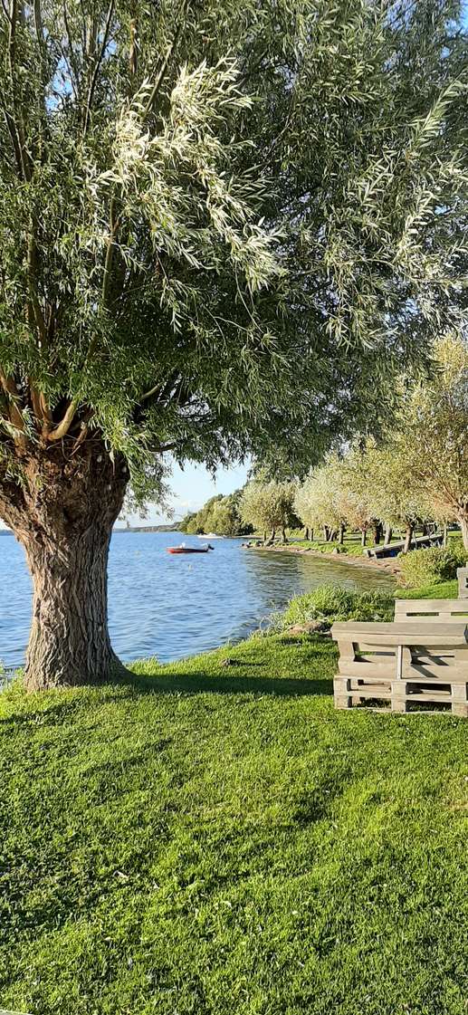 Een foto toegevoegd aan een locatie