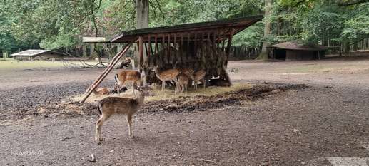 Einem Ort wurde ein Foto hinzugefügt