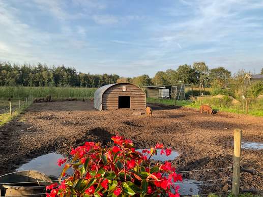 Een foto toegevoegd aan een locatie