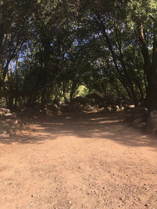 Een foto toegevoegd aan een locatie