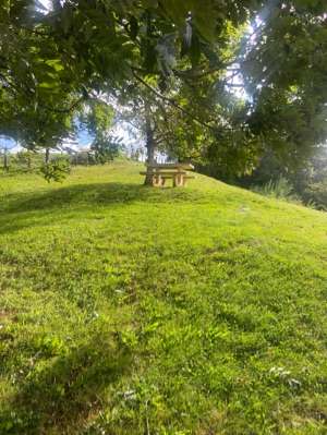 Le Vignoble de Pupillin