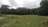 Les kiwis du golfe - Photo 2