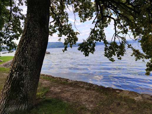 Een foto toegevoegd aan een locatie
