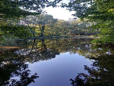 Added a photo to a location