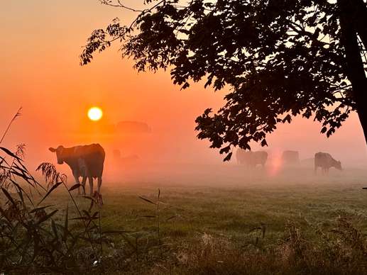 Aggiunta una foto a una posizione