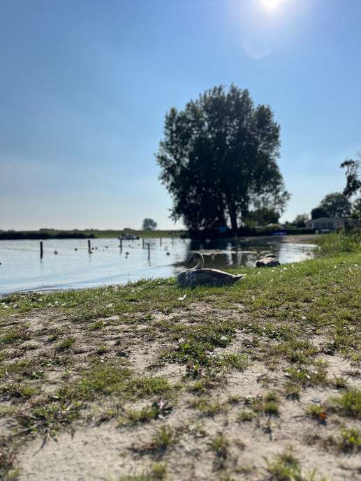 Een foto toegevoegd aan een locatie