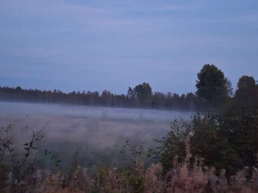 Een foto toegevoegd aan een locatie