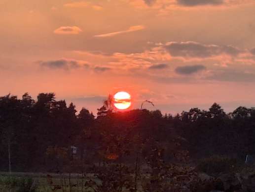 Een foto toegevoegd aan een locatie