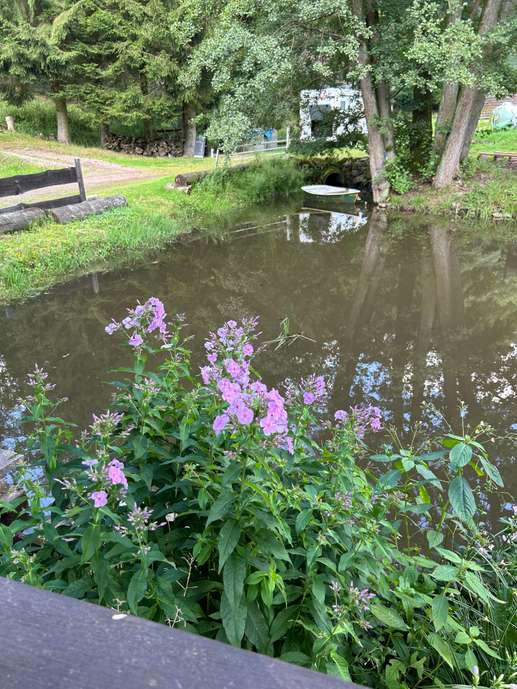 Een foto toegevoegd aan een locatie