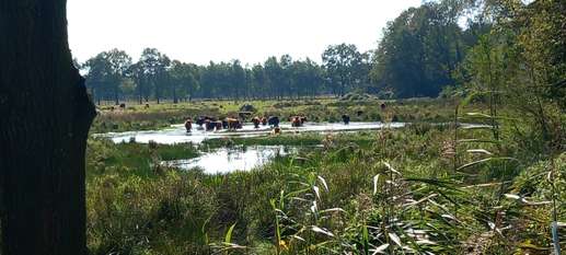 Een foto toegevoegd aan een locatie