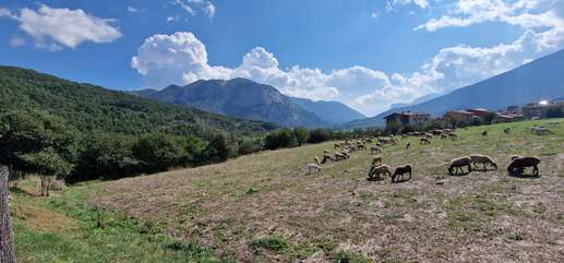 Ajout d'une photo à un emplacement
