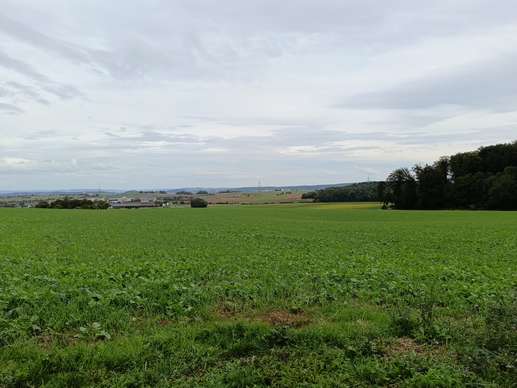 Een foto toegevoegd aan een locatie