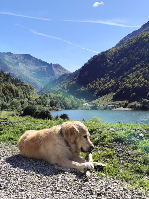 Einem Ort wurde ein Foto hinzugefügt