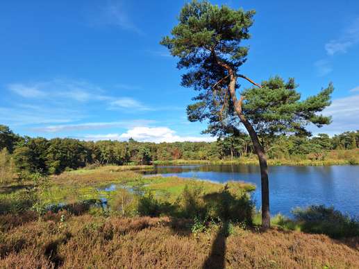 Een foto toegevoegd aan een locatie