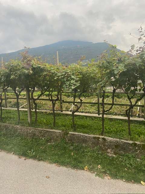 Parcheggio Pilcante