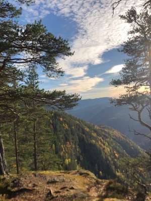 Added a photo to a location