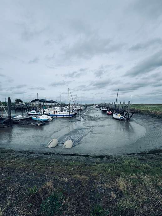 Een foto toegevoegd aan een locatie