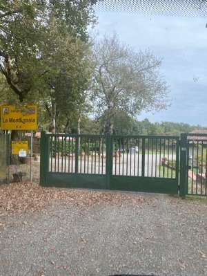 Een foto toegevoegd aan een locatie