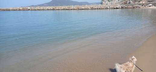 Added a photo to a location