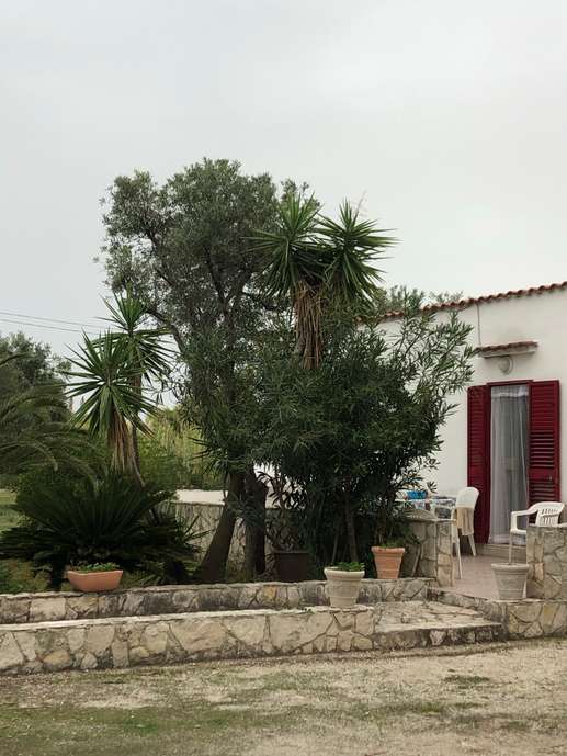 Added a photo to a location