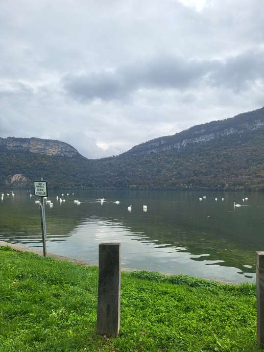 Added a photo to a location