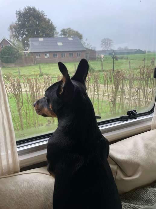 Een foto toegevoegd aan een locatie
