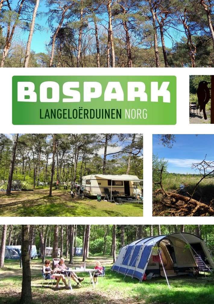 Bospark Langeloërduinen Norg