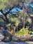 Siurana photo 2