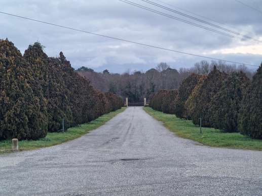 Aggiunta una foto a una posizione