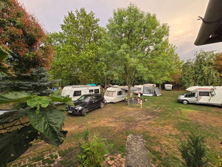 Márk Camping