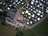 Campingparadies Neumann - Main photo