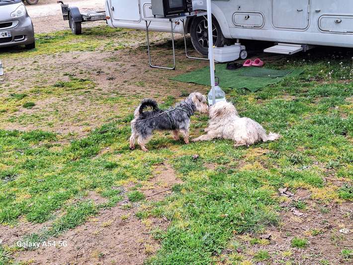 Albturist :Vjosa Rafting & Ecocamping Permët,Albania