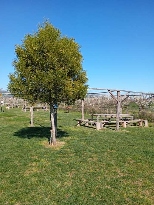 Added a photo to a location
