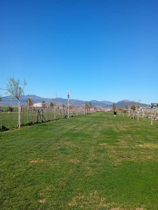 Added a photo to a location