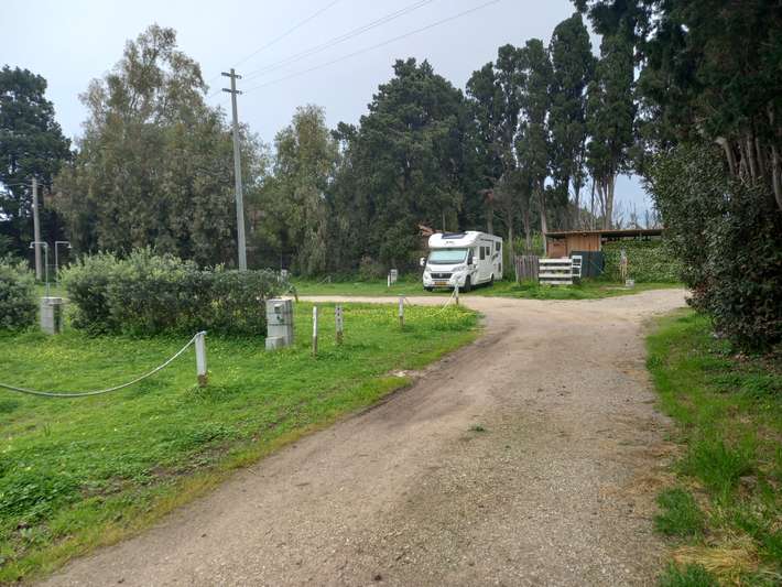 Justyna Parking