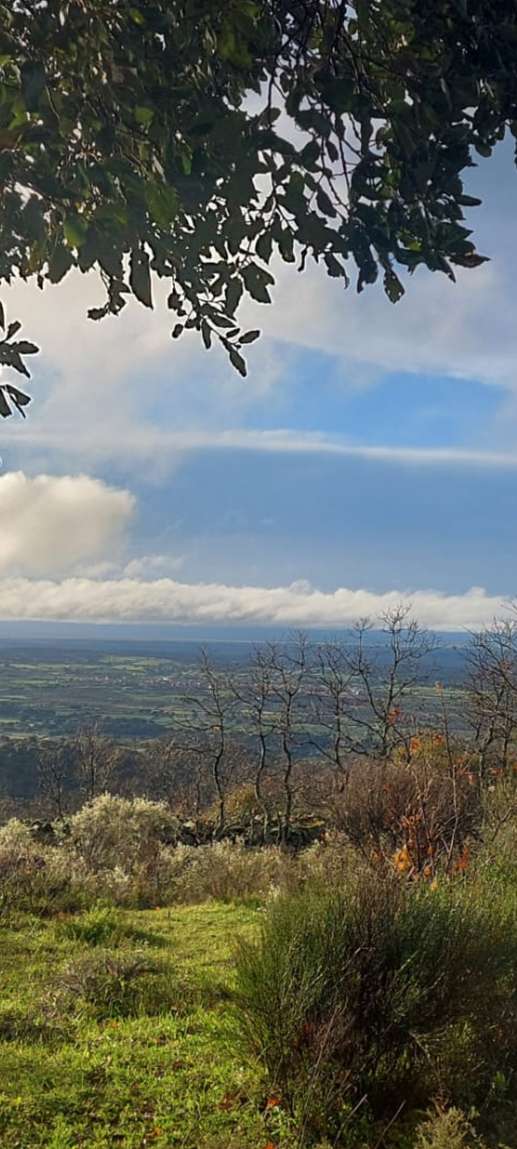 Einem Ort wurde ein Foto hinzugefügt