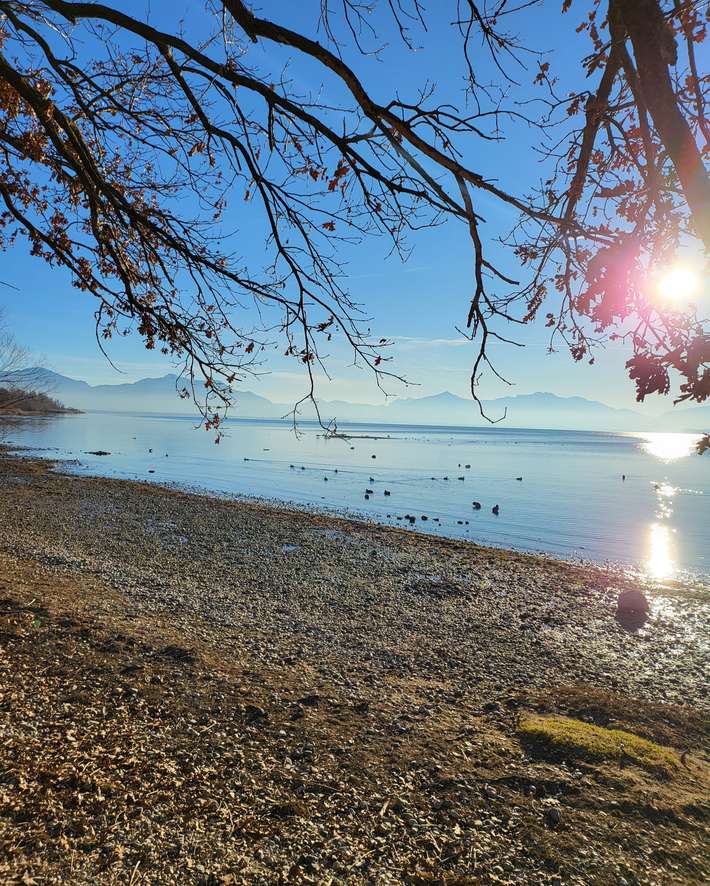 am Chiemsee mit Alzblick