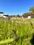 Monte Novo Motorhome stopover