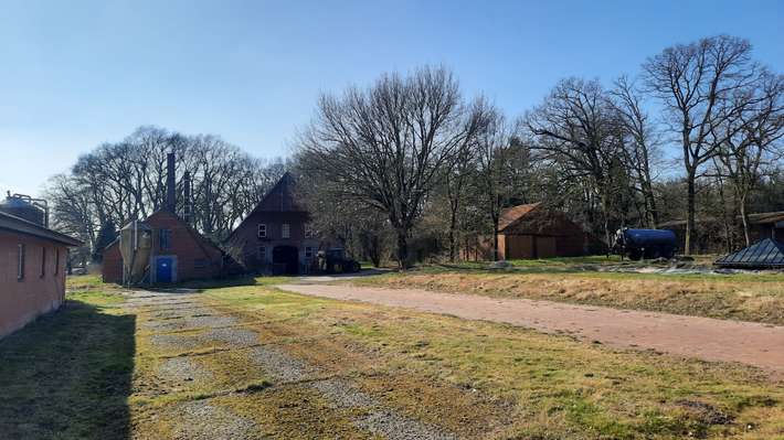 Hof Backhus