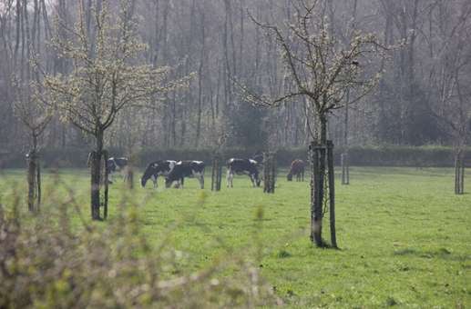 Een foto toegevoegd aan een locatie