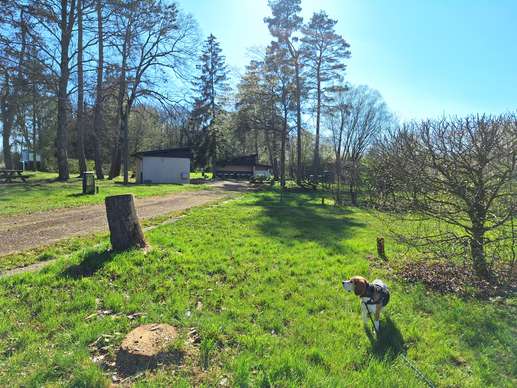 Een foto toegevoegd aan een locatie